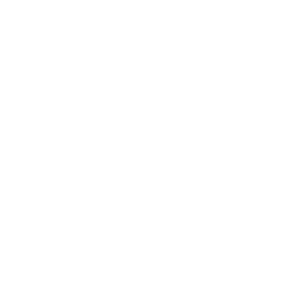 feature-item-1