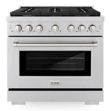 ZLINE Paramount Gas Range Convection Oven 6 Burners 91.4cm SGR36 1